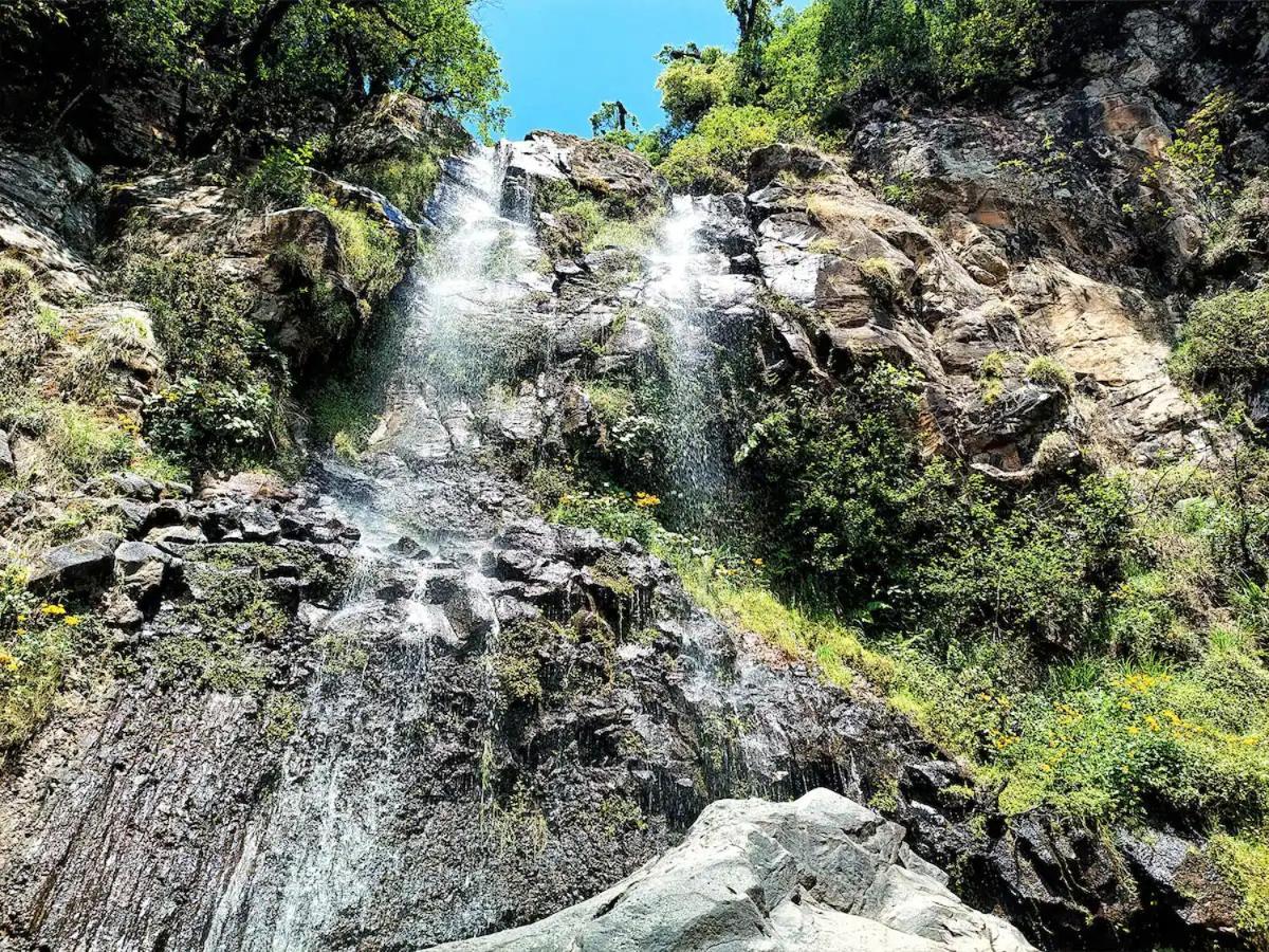 Cabana Para Pareja En El Bosque Ib Acaxochitlan Екстер'єр фото