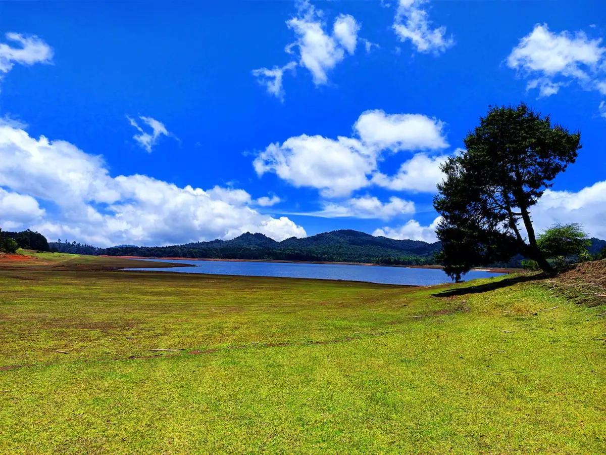 Cabana Para Pareja En El Bosque Ib Acaxochitlan Екстер'єр фото
